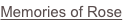 shapeimage_5_link_0