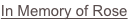 shapeimage_4_link_0
